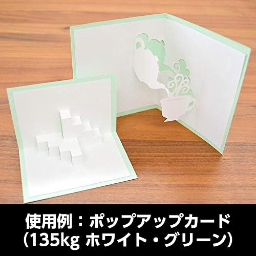 マルバノキ【現品発送】管理70585 マルバノキ｜苗木販売｜植木